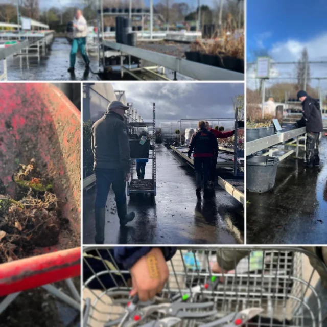AndersWijs Doen! 🔄Sinds dit schooljaar hebben we de mogelijkheid om leerlingen ook deels buiten de klas te begeleiden met een praktisch onderwijsprogramma. 🛠️🌿🪏Leren door te doen met als doel talenten te ontdekken, zelfvertrouwen te vergroten, samenwerking te versterken en motivatie te stimuleren. 🙌 Afgelopen dinsdag konden de kinderen met hun meester weer aan de slag bij Groencentrum Freek van der Wal. 🪴Dankbaar voor deze samenwerking!#praktijkgerichtleren #klusklastalent